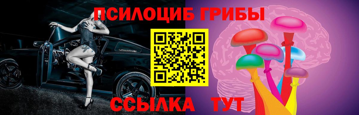 A-PVP Ейск